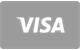 Visa debit and credit card accepted at MrPunter Casino
